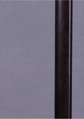 Wan Qixing Ebony Erhu – Professional Beginner Chinese Fiddle with Powerful Sound