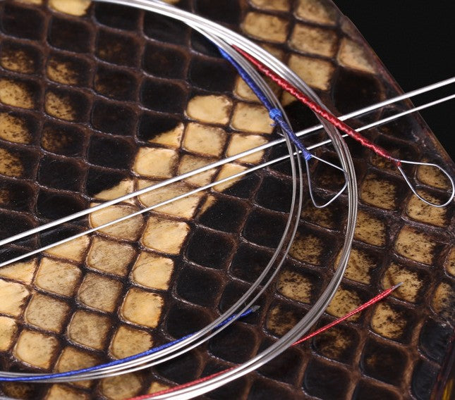Xinghai Zhonghu Strings – Inner, Outer, or Full Set | German Steel Core for Rich, Clear Tone