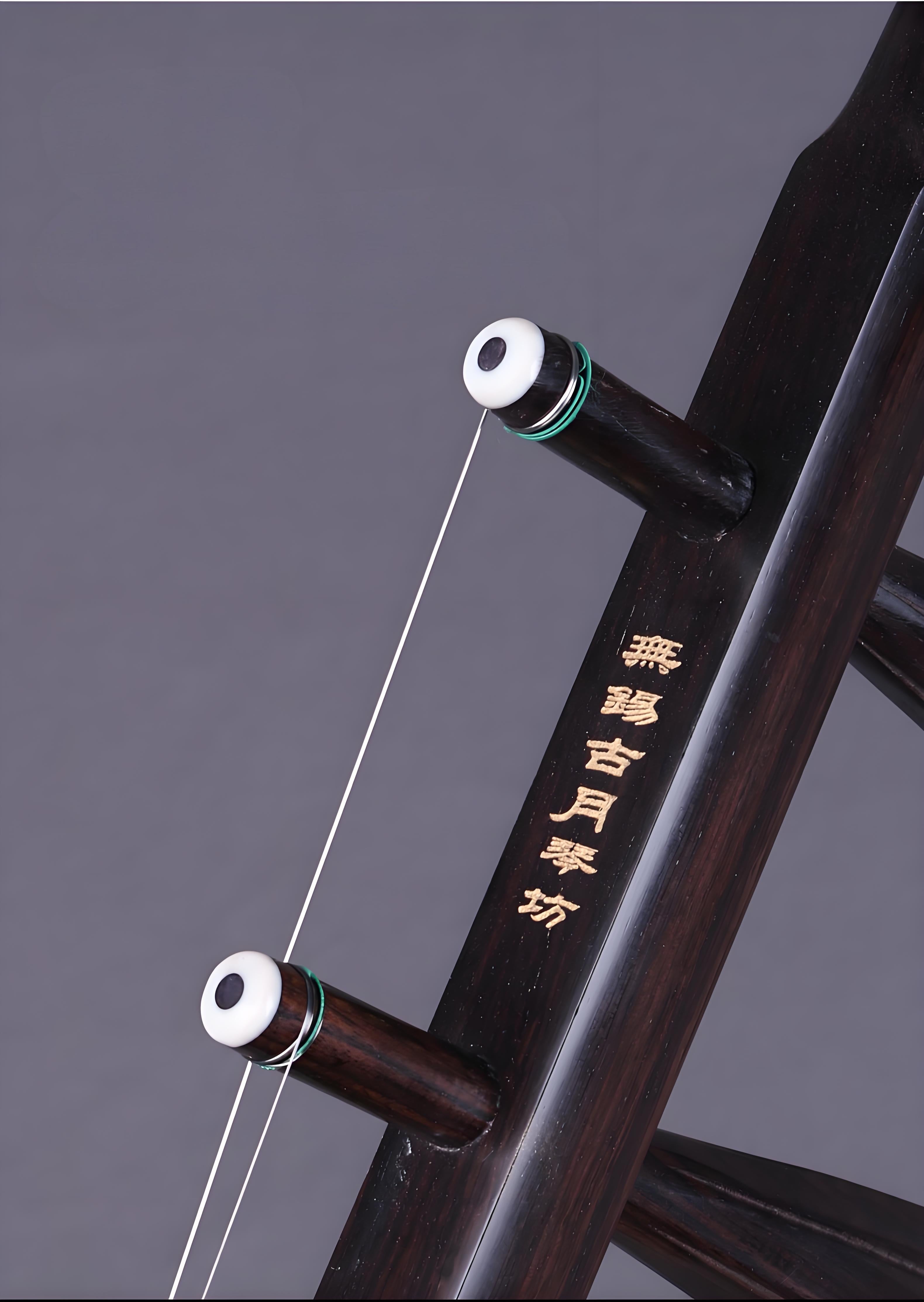 Wan Qixing Ebony Erhu – Professional Beginner Chinese Fiddle with Powerful Sound