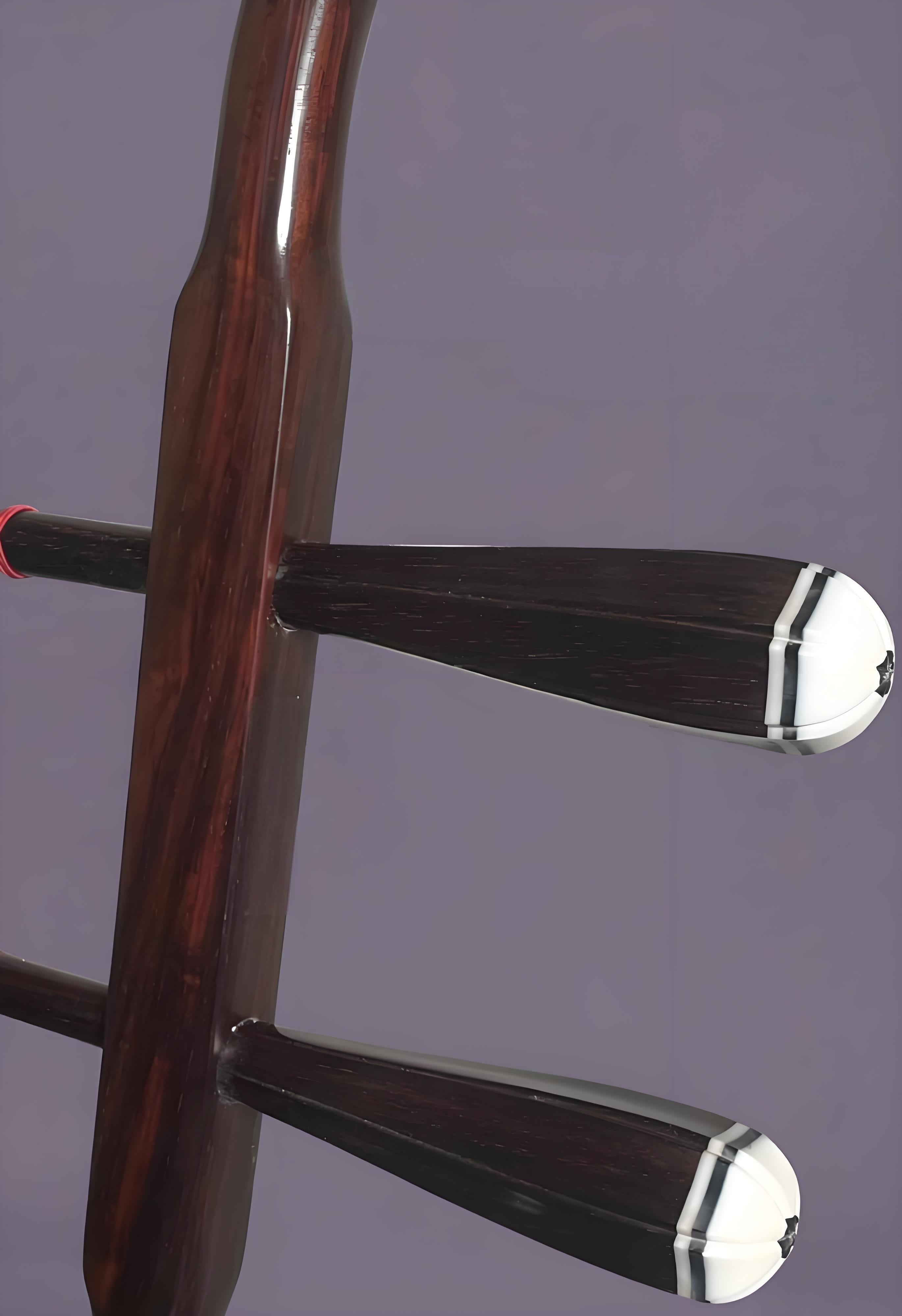 Wan Qixing Ebony(黑檀) Erhu – Authentic Chinese Fiddle for Beginners & Intermediate Players