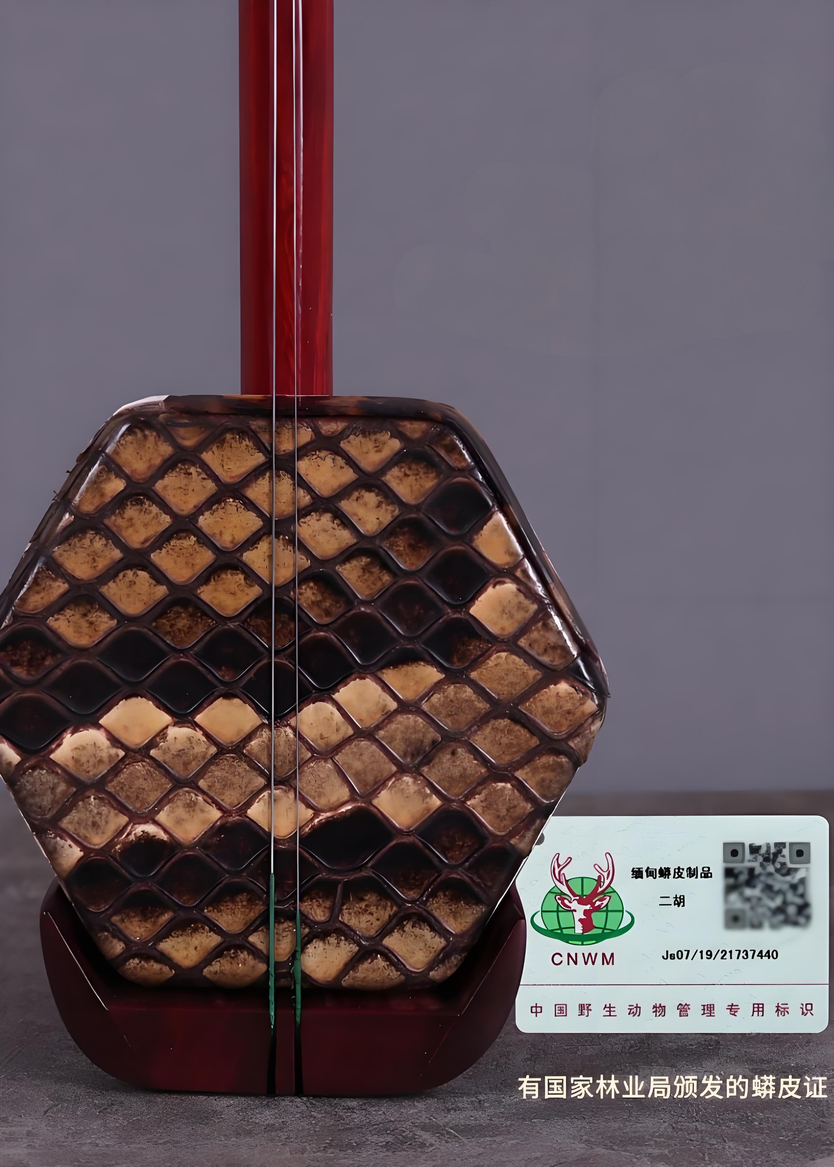 Wan Qixing African Sandalwood Erhu 9503 – Powerful Volume Chinese Fiddle for Beginners