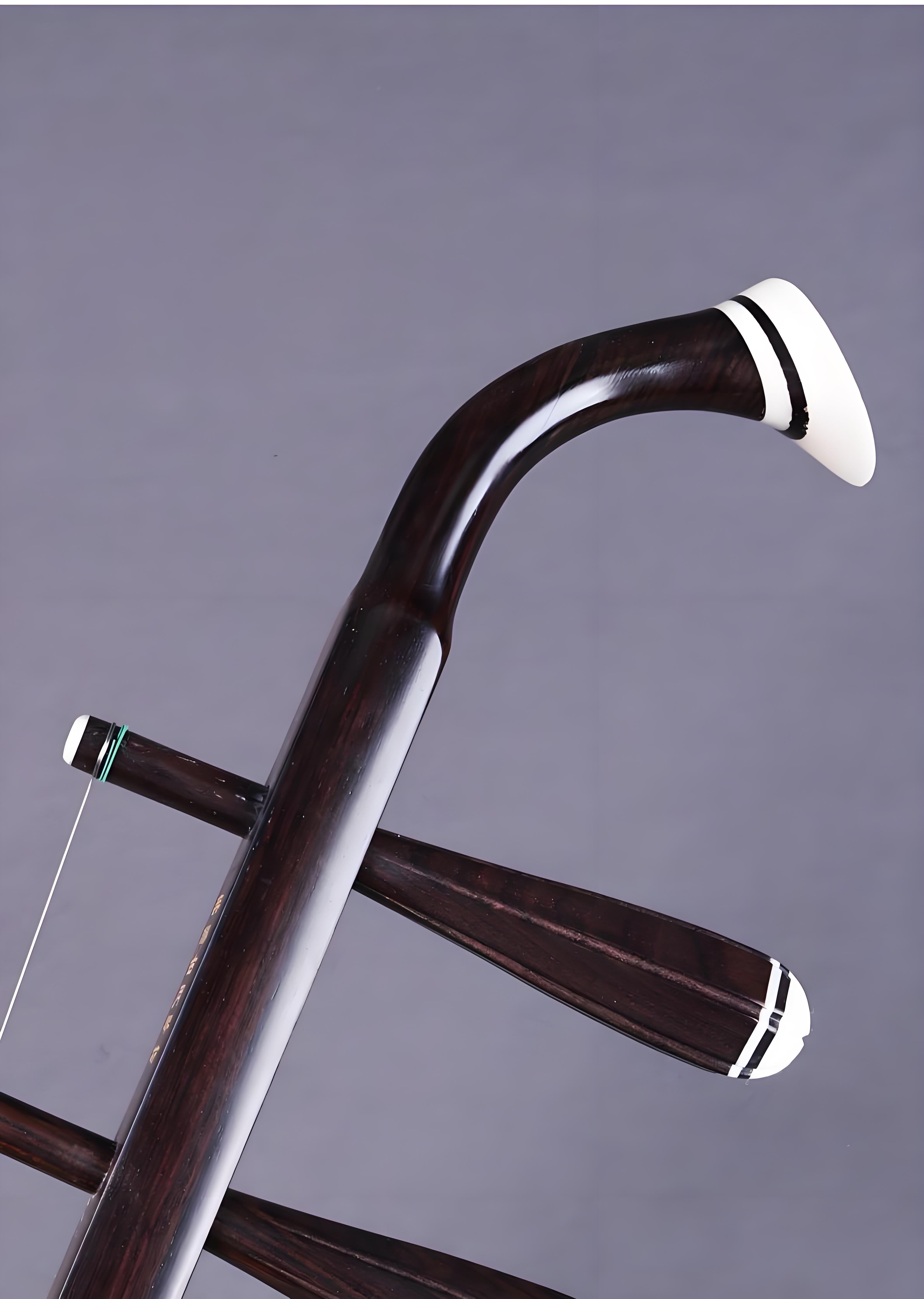 Wan Qixing Ebony Erhu – Professional Beginner Chinese Fiddle with Powerful Sound
